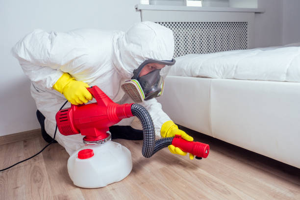 Best Wasp Removal Services  in Montpelier, OH