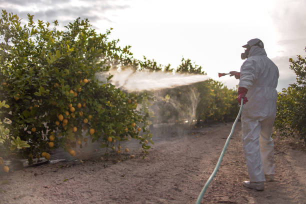 Best Local Pest Control Services  in Montpelier, OH