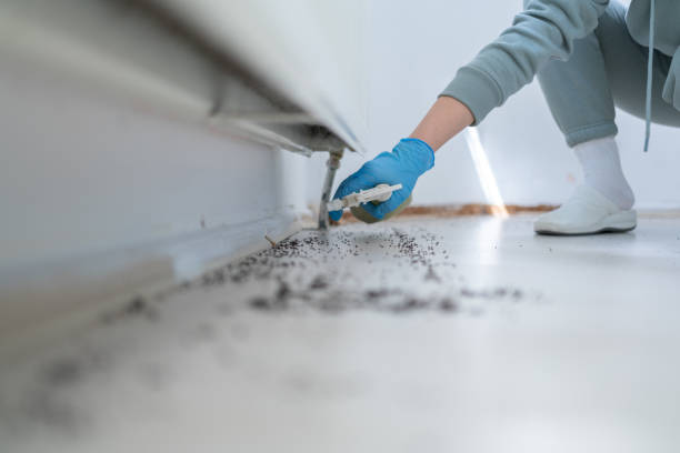 Best Best Pest Control Companies  in Montpelier, OH