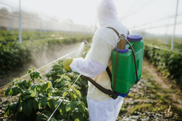 Best Wildlife Control Services  in Montpelier, OH